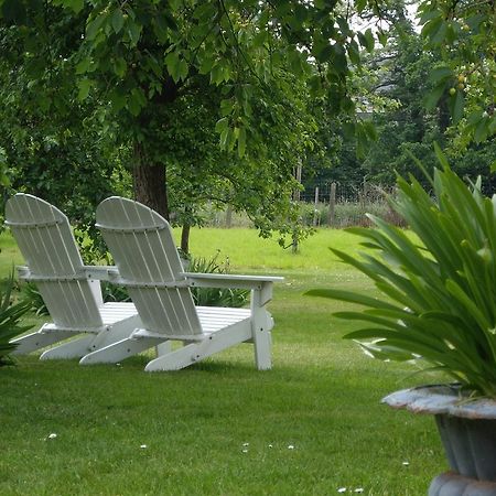 Gingelom B&B Schoon Goed מראה חיצוני תמונה