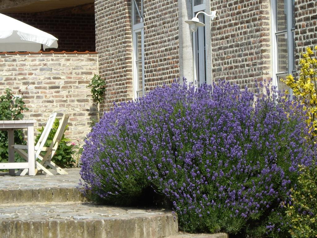 Gingelom B&B Schoon Goed מראה חיצוני תמונה